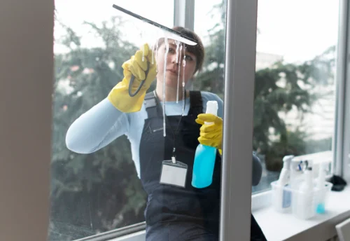 Nettoyage de vitres intérieures et extérieures à Dommery